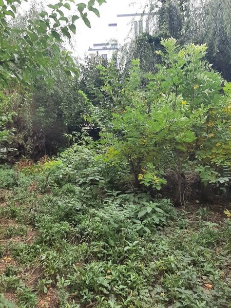 Gradinarilor, teren 357mp si hala Mihai Bravu metrou,